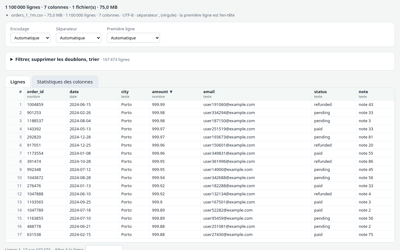 Rowlode affichant un fichier CSV de deux millions de lignes dans un tableau défilant, avec les options de filtre et d’export